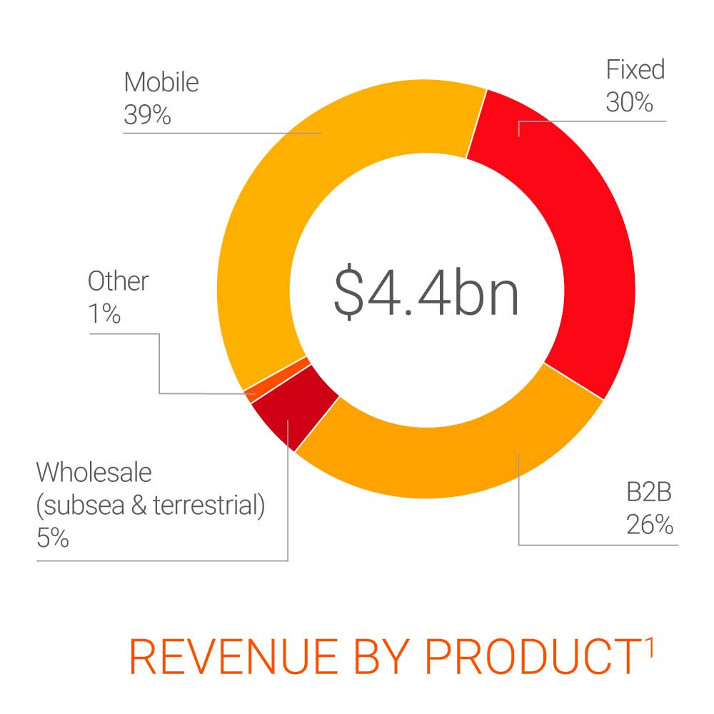 REVENUE BY PRODUCT